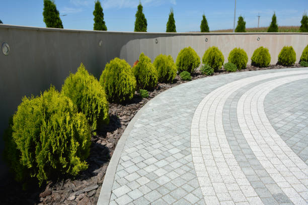 Best Commercial Driveway Paving in Ridgway, CO